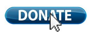 online revenue tool